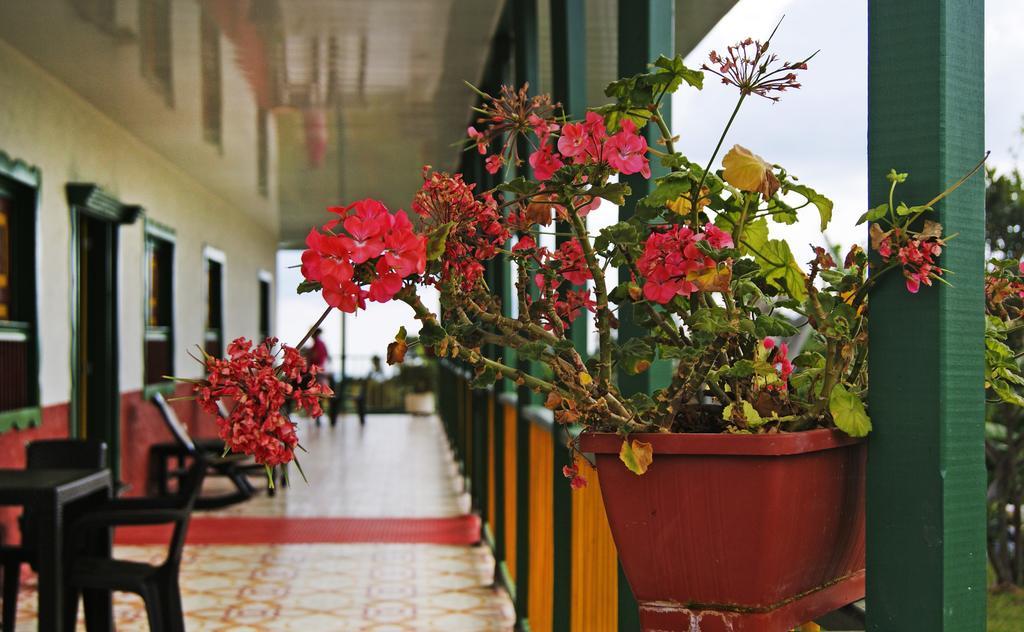 Hostal Casa De Los Taitas Salento Zewnętrze zdjęcie