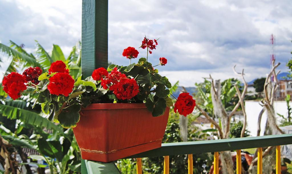 Hostal Casa De Los Taitas Salento Zewnętrze zdjęcie